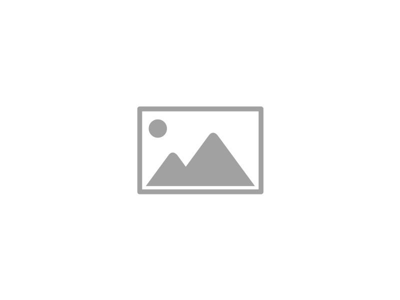 Vyond Project